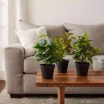 Pure Garden 13.5 in. Assorted Faux Foliage Arrangement Set of 3 thumbnail 1