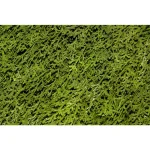 National Tree Company 36 in. Upright Juniper Artificial Evergreen Shrub in Green Round Growers Pot thumbnail 2