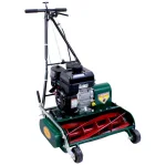 California Trimmer 20 in. 5-Blade Self-Propelled Gas Reel Lawn Mower with Briggs & Stratton Engine thumbnail 1