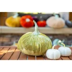 Flora Bunda 8-Piece Cream White Faux Foam Pumpkin Set - 3 in. Fall Harvest Tabletop Decor thumbnail 3
