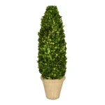 Unbranded 25 in. Preserved Boxwood Cone Topiary in White Washed Terracotta Stone Pot thumbnail 2