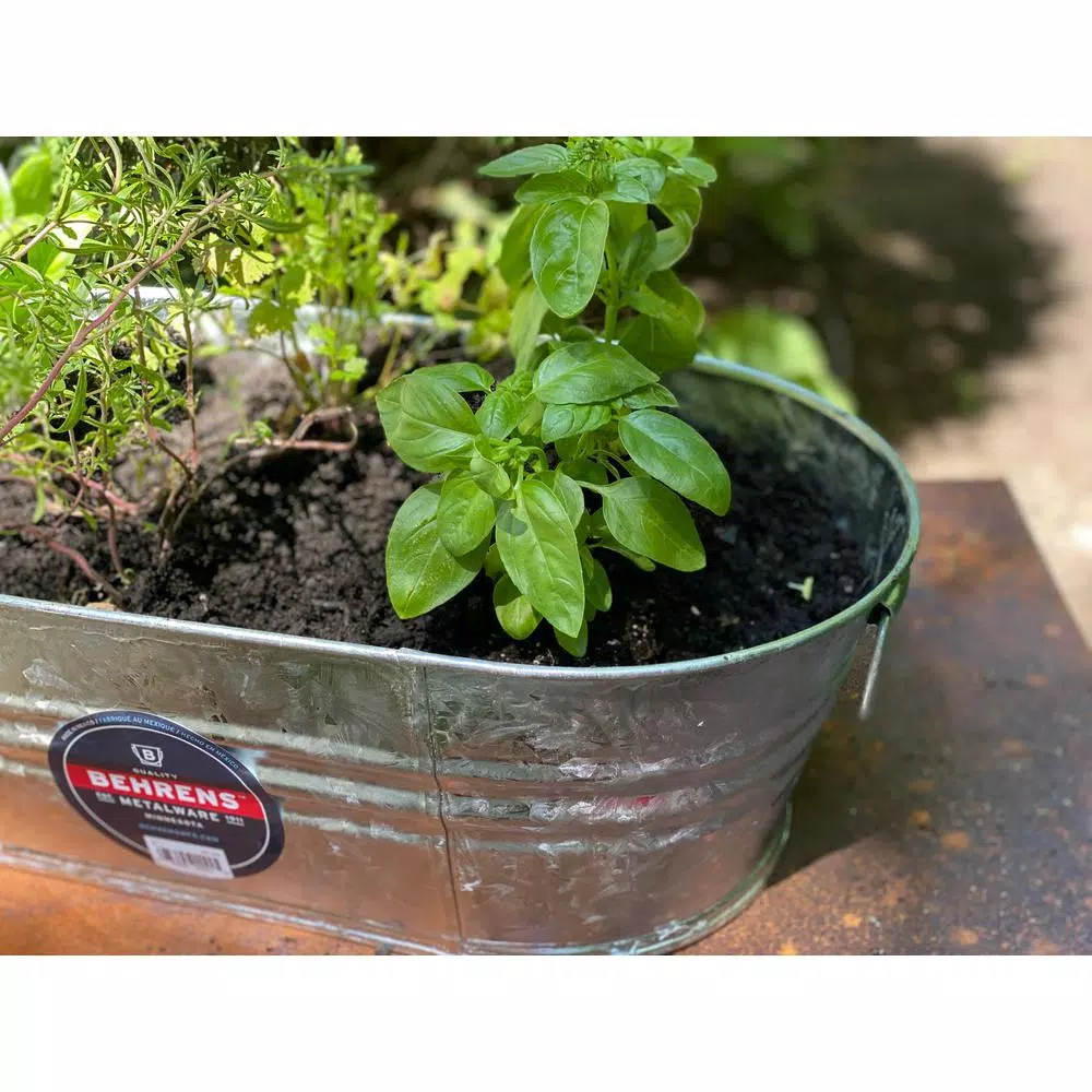 Behrens 1 Gal. Hot Dipped Galvanized Steel Oval Tub with Wire Handles