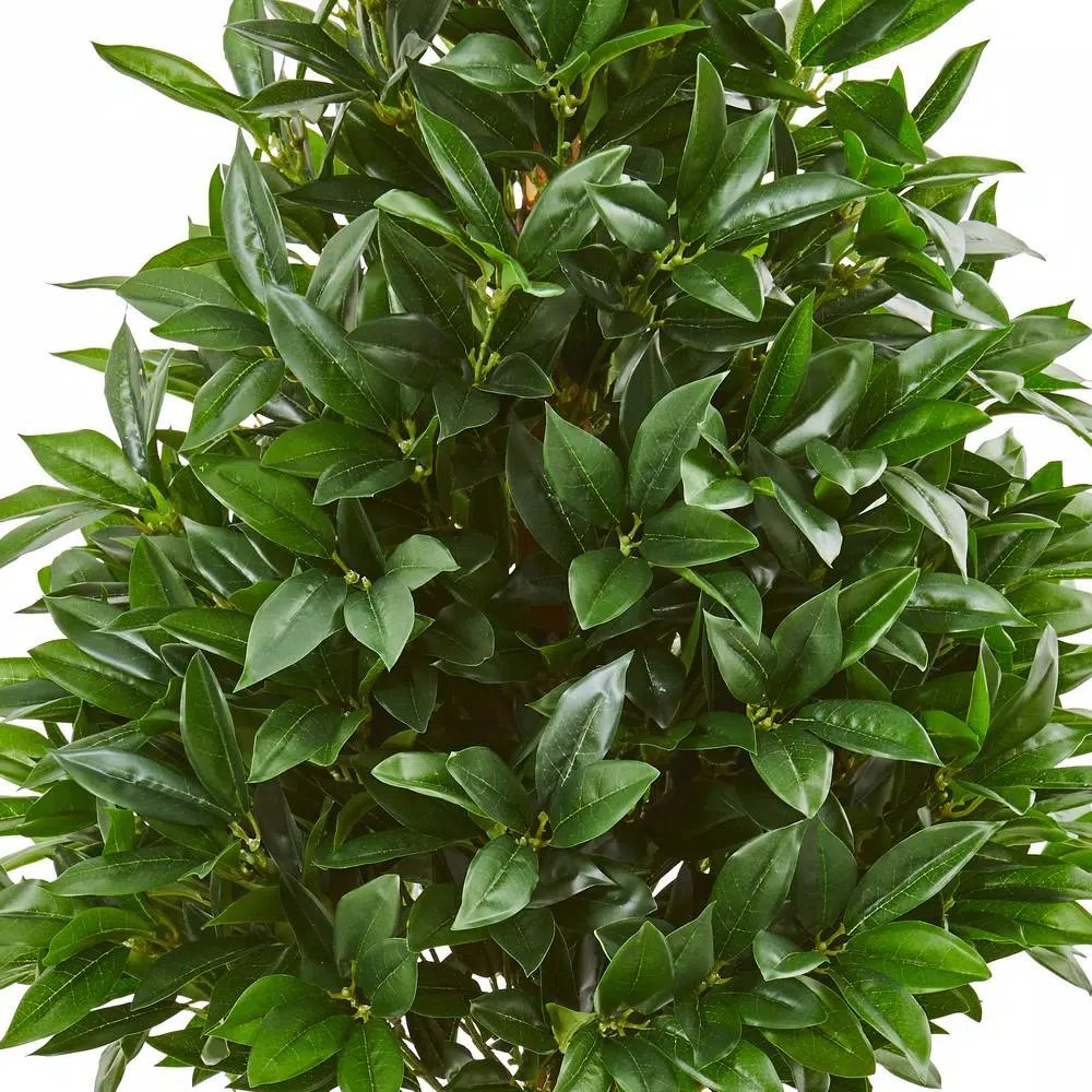 Nearly Natural 44-In. Bay Leaf Cone Topiary Artificial Tree with White Planter, Indoor/Outdoor UV-Resistant