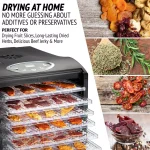 Ivation 9-Tray Electric Food Dehydrator with Digital Timer & Temperature Control, 600W thumbnail 5