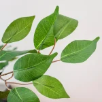 Nearly Natural 5 ft. Artificial Ficus Tree with Real Wood Trunks thumbnail 2