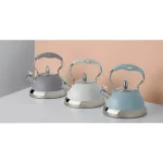 Typhoon Living 10 Cup Gray Stainless Steel Stovetop Tea Kettle thumbnail 2