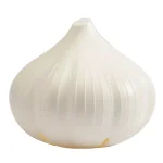 Hutzler Classic Food Savers 4-Piece Set - Onion, Tomato, and Garlic Storage Containers thumbnail 4