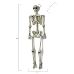 Worth Imports 60 in. Life Size Hanging Skeleton Halloween Decor thumbnail 2