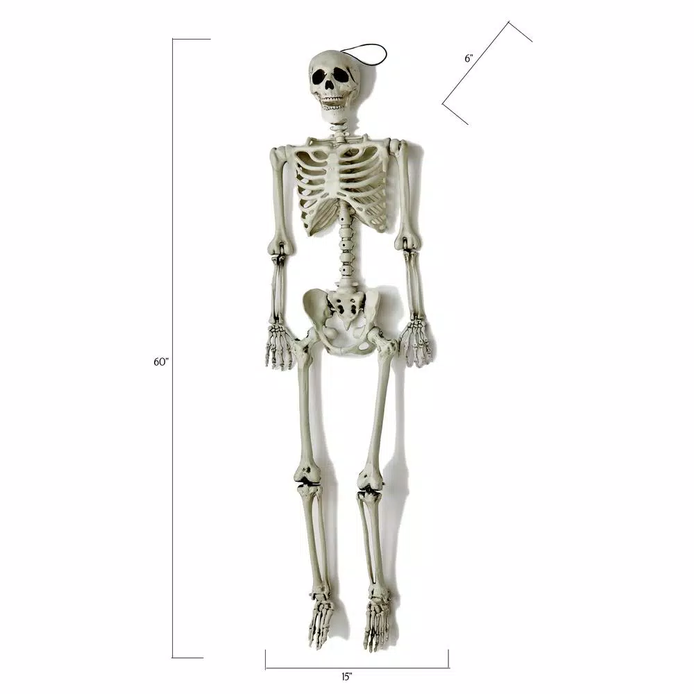 Worth Imports 60 in. Life Size Hanging Skeleton Halloween Decor