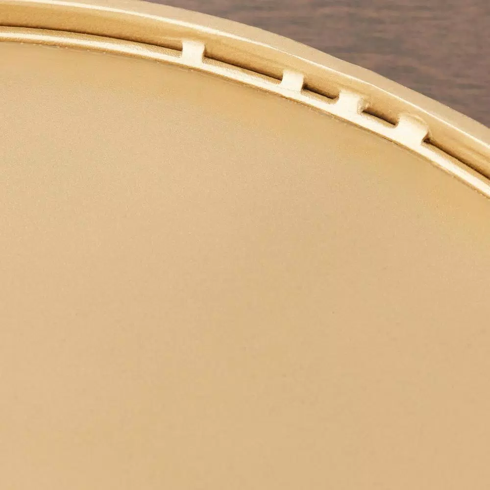 Home Decorators Collection Gold Metal Decorative Round Mirror Tray