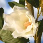National Tree Company 48 in. Artificial White Magnolia Flower Tree in Matte Black Pot thumbnail 4