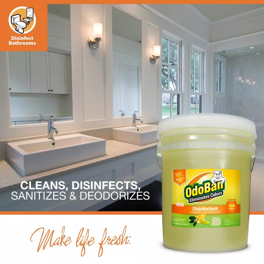 OdoBan Citrus Multi-Purpose Disinfectant & Odor Eliminator Concentrate, 5 Gal.