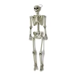 Worth Imports 60 in. Life Size Hanging Skeleton Halloween Decor thumbnail 1