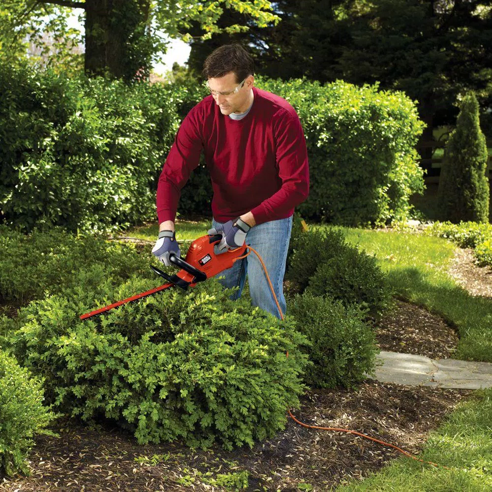 BLACK+DECKER HT20 20 in. 3.8 Amp Corded Electric Hedge Trimmer