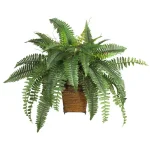 Nearly Natural 23 in. Boston Fern Silk Plant with Wicker Basket thumbnail 1