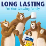 Charmin Essentials Strong 1-Ply Toilet Paper, 48 Giant Rolls thumbnail 6