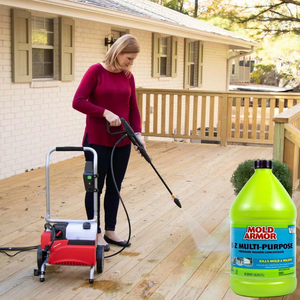 Mold Armor Multi-Purpose Pressure Washer Cleaner, 1 Gallon (2-Pack)