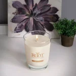 ROOT CANDLES A.I. Root Veriglass French Vanilla Scented Soy and Beeswax Filled Jar Candle thumbnail 1