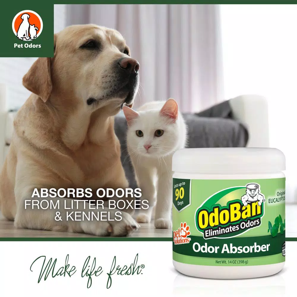 OdoBan 14 oz. Eucalyptus Solid Odor Absorber Gel