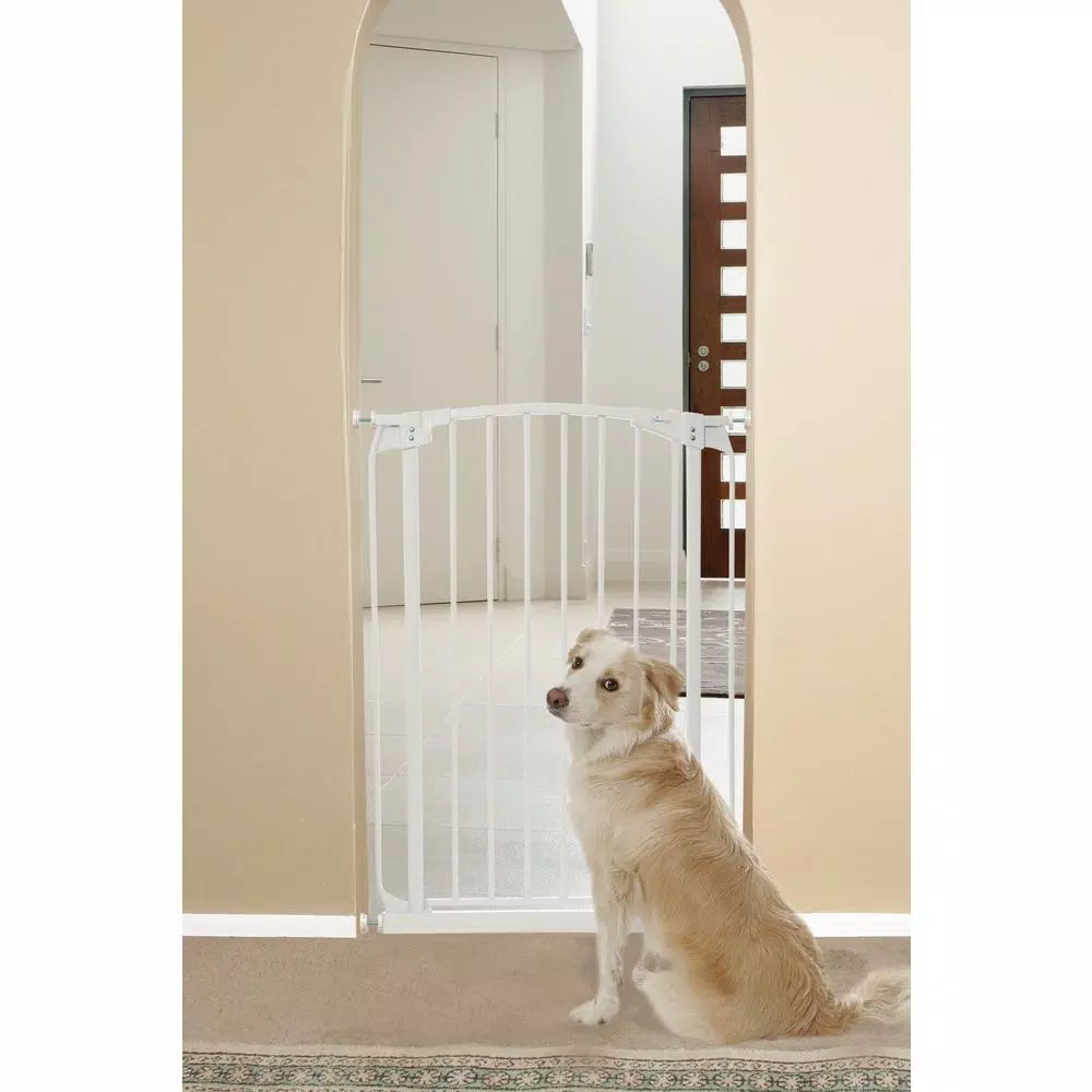 Dreambaby Chelsea Extra Tall Auto-Close Security Gate, 39.4 in. Height, White