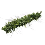 VAN ZYVERDEN 6 ft. Fresh Cut Pacific Northwest Deluxe Evergreen Holiday Garland Mix Coil Runner thumbnail 1