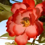 National Tree Company 22 in. Spring Flower Wreath - Assorted Yellow, Pink, and White Mixed Blooms thumbnail 2