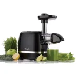 Omega H3000D Cold Press 365 Horizontal Slow Masticating Juicer, Black thumbnail 3