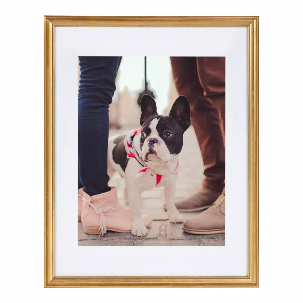 Kate and Laurel Adlynn Gold Picture Frame Set, 3-Piece Gallery Wall Collection, Fits 11x14 in. or 14x18 in.
