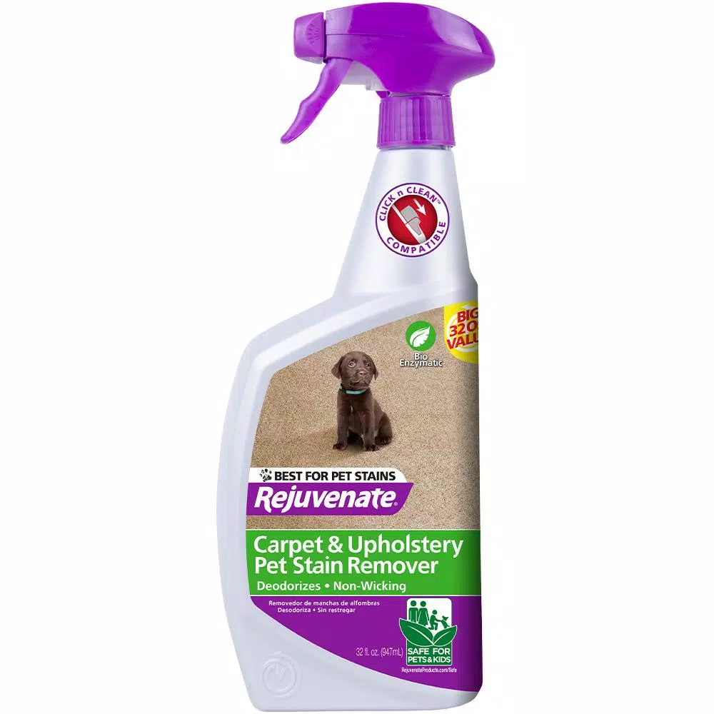 Rejuvenate Simple Green All-Purpose Carpet and Upholstery Spot and Stain Remover, 32 oz.
