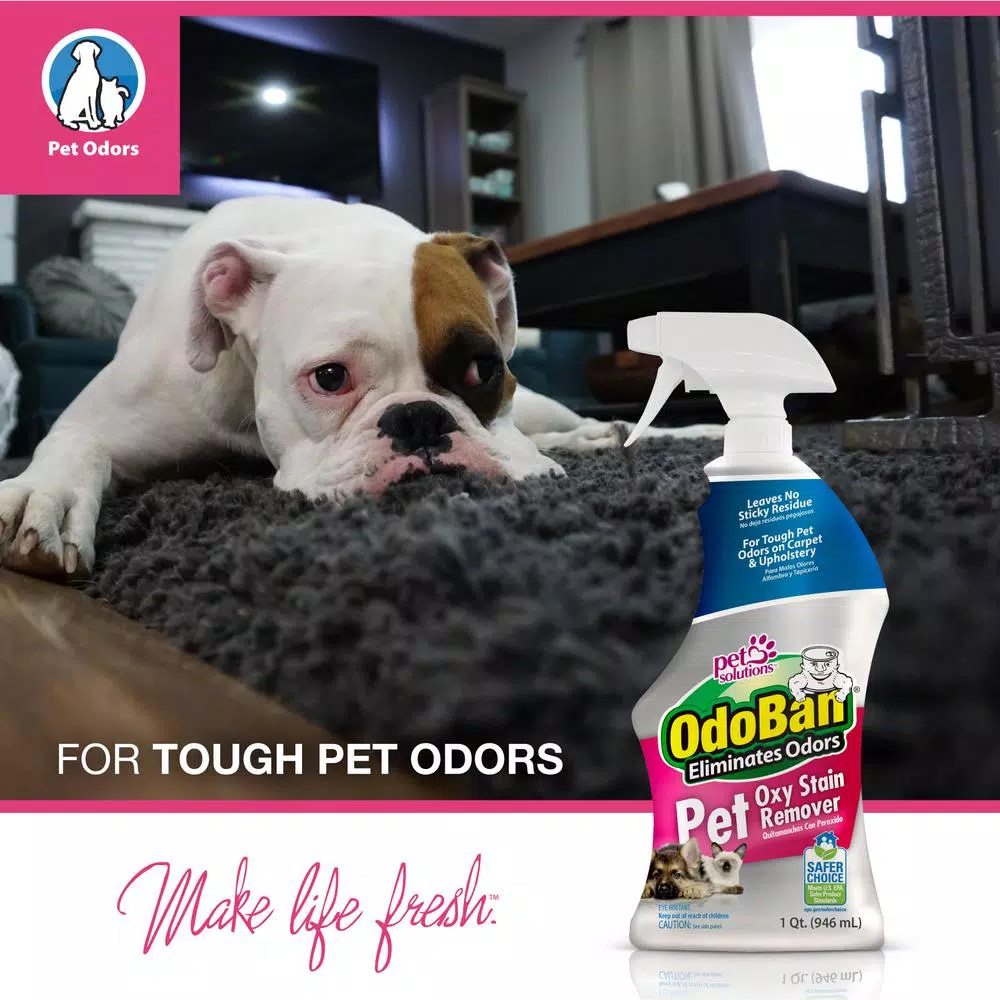 OdoBan Pet Oxy Stain Remover, 32 oz. Oxygen-Powered Odor and Stain Eliminator