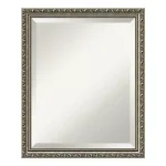 Amanti Art Parisian 18.5 in. W x 22.5 in. H Silver Framed Beveled Edge Rectangular Bathroom Mirror thumbnail 4