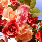 National Tree Company 32 in. Mixed Rose and Dahlia Spring Wreath - Red, Pink, and Cream Floral Decor thumbnail 3