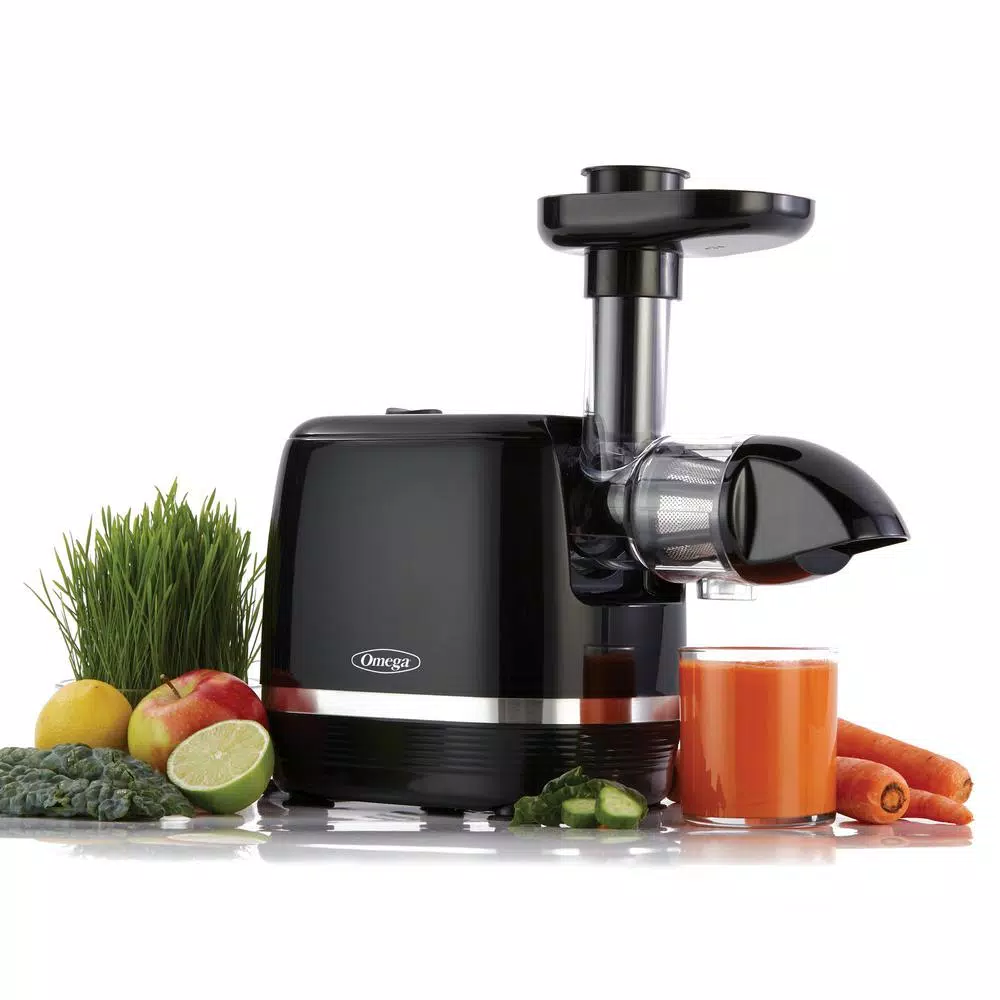 Omega H3000D Cold Press 365 Horizontal Slow Masticating Juicer, Black