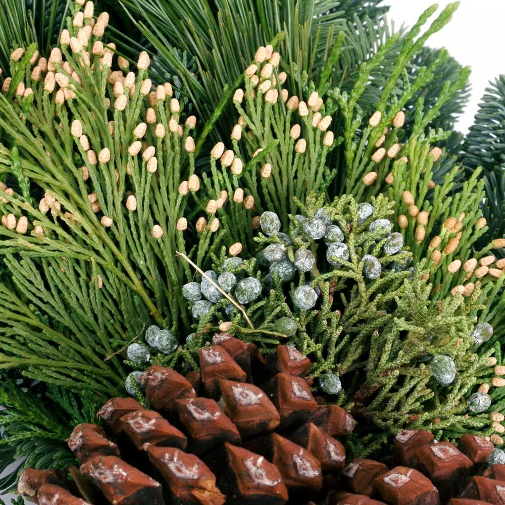 VAN ZYVERDEN 20 in. Live Fresh Cut Pacific Northwest Grapevine and Evergreen Christmas Wreath
