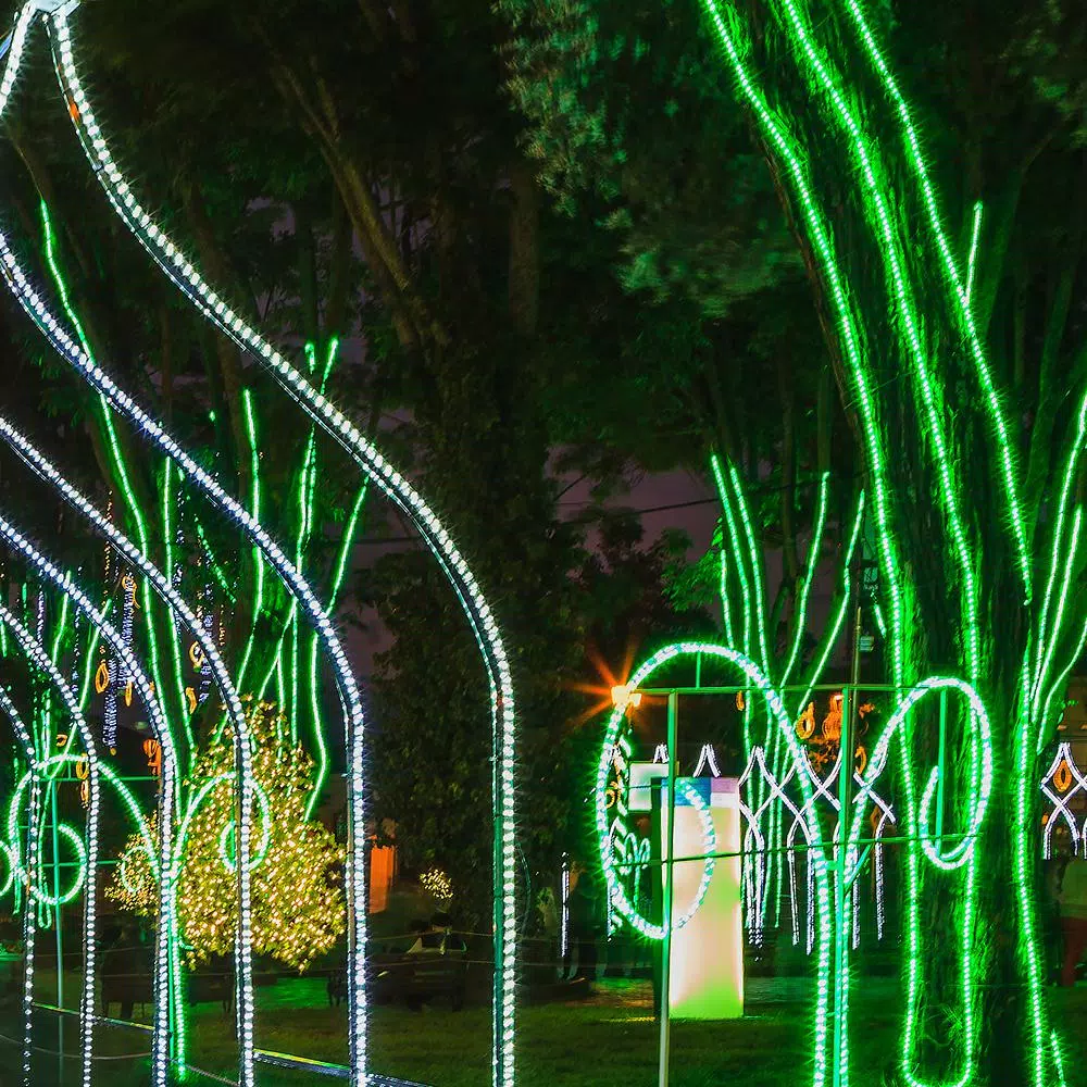 Wintergreen Lighting 150 ft. Green LED Rope Light Kit, 1800 Lights, Dimmable & Weather Resistant