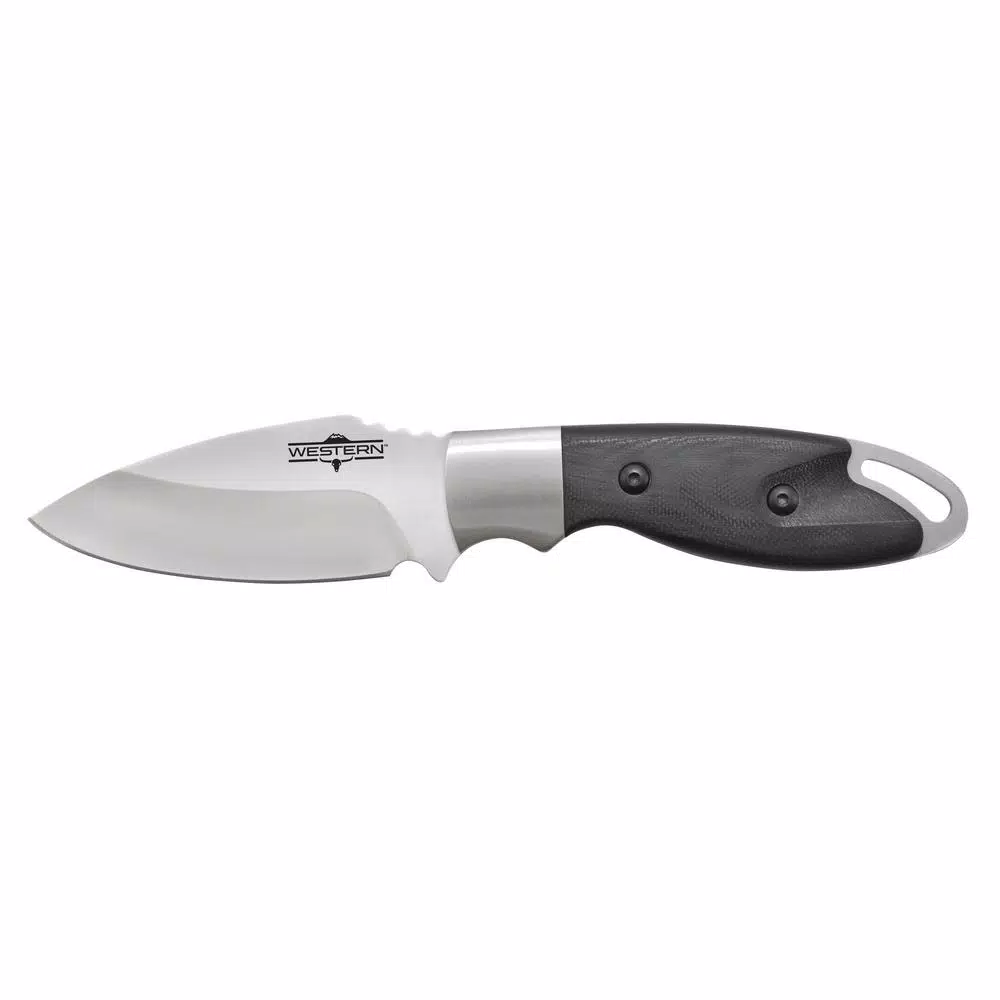 Western Kota 8.25 in. Titanium Bonded Drop Point Fixed Blade Knife with G10 Handle and Sheath
