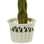 Nearly Natural 13 in. Artificial Rose Topiary Set with White Wicker Pots (Set of 2) thumbnail 3