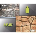 MMR Professional Instant Mold and Mildew Stain Remover, 32 oz. thumbnail 2