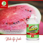 OdoBan Cucumber Melon Multi-Purpose Disinfectant, Odor Eliminator & Laundry Concentrated Cleaner, 1 Gal. thumbnail 2