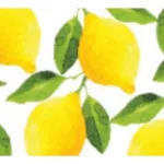 Sugar Plum Party SugarPlum Collection 32-Piece Lemon Assorted Disposable Paper Cocktail Napkins thumbnail 2