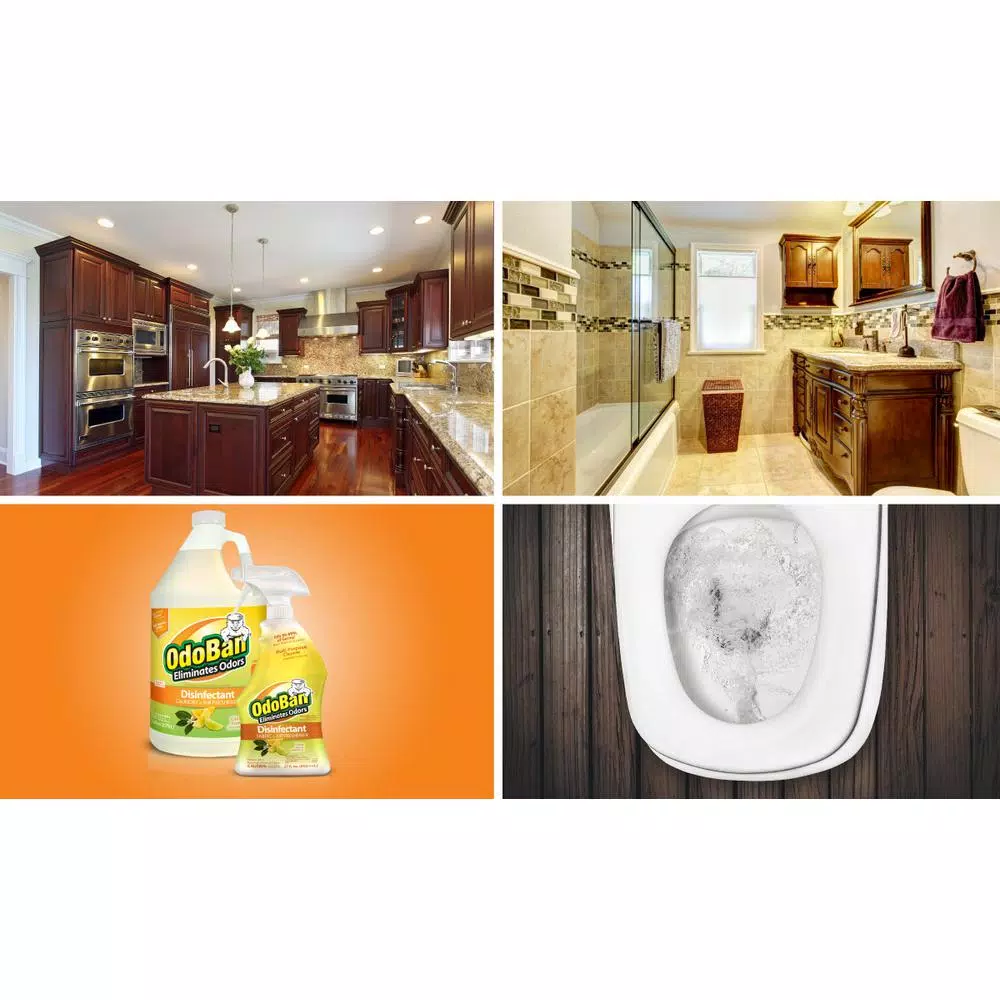 OdoBan Citrus Multi-Purpose Disinfectant Concentrate, 1 Gallon