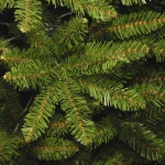 National Tree Company 9 ft. Kingswood Fir Pencil Artificial Christmas Tree, Unlit, Green thumbnail 3