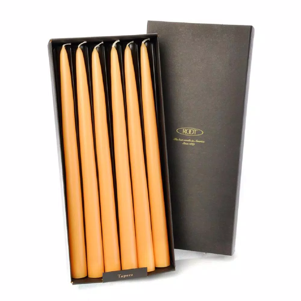 ROOT CANDLES A.I. Root 12 in. Mandarin Orange Dipped Taper Candles, Beeswax Enriched, Box of 12