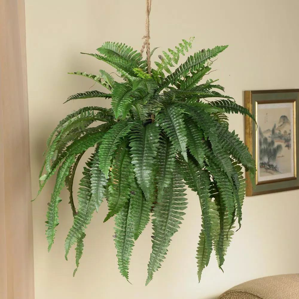 Nearly Natural Large Artificial Boston Fern Hanging Basket - Green Silk Plant in Wicker Pot