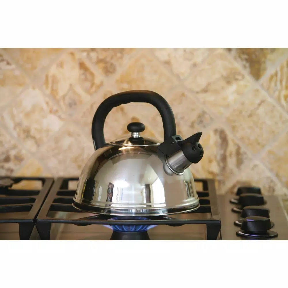 ExcelSteel 3 Qt. Stainless Steel Whistling Teakettle, 12 Cup Capacity