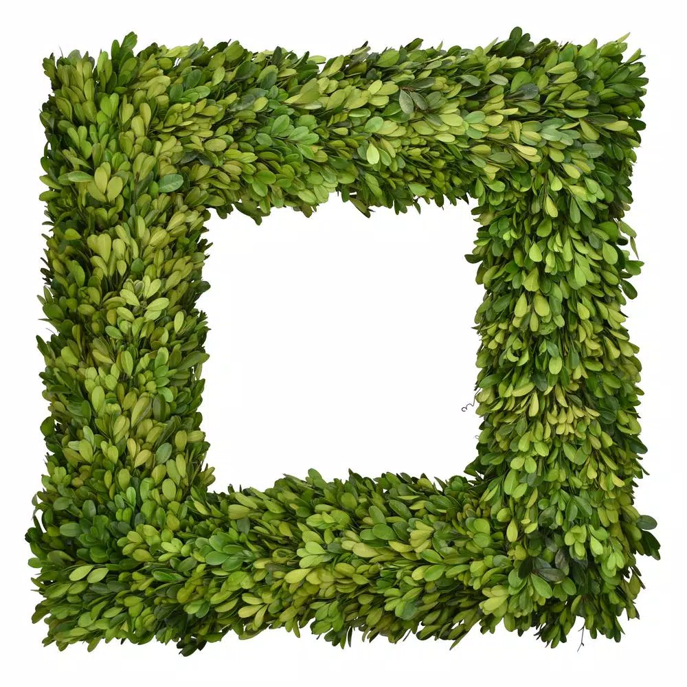 Unbranded 20 in. Square Preserved Boxwood Country Manor Wreath, Green