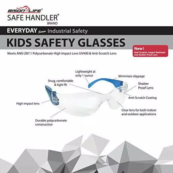 Safe Handler Kids Protective Safety Glasses, Clear Lens, Multi-Color Temple Variety Pack (Box of 12)