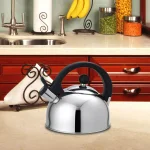 Home Basics 10.6-Cup Silver Stainless Steel Stovetop Tea Kettle with Whistle thumbnail 1