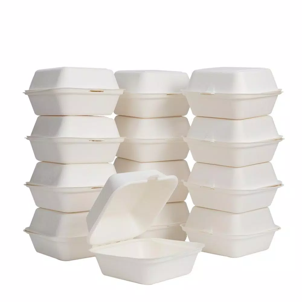 Unbranded 6 in. White Sugarcane Clamshell Containers, Compostable & Eco-Friendly (300 Pack)