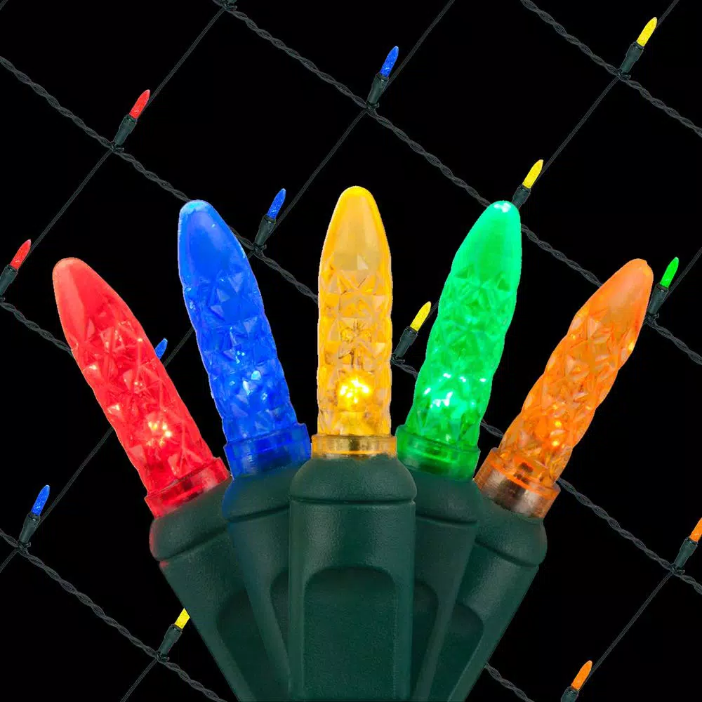 Wintergreen Lighting 48 in. x 72 in. 100-Light M5 Multi-Color LED Net Light Set